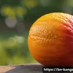 콩순이 테마파크 체험 관련 이미지 1