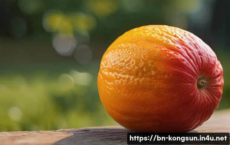 콩순이 테마파크 체험 관련 이미지 1